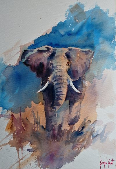 Majestic Elephant Watercolor by Giorgio Gosti
