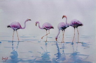 Pink Flamingos Wading by Giorgio Gosti