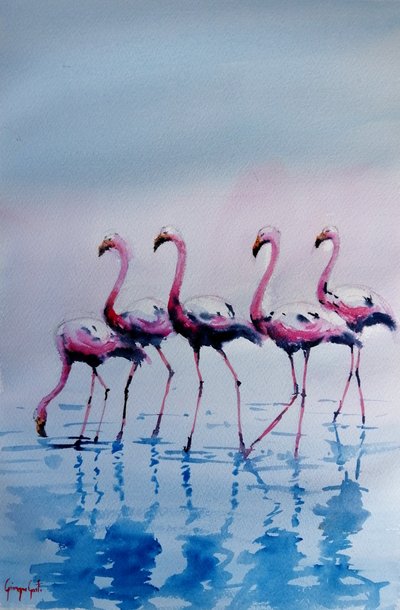 Pink Flamingos Wading by Giorgio Gosti