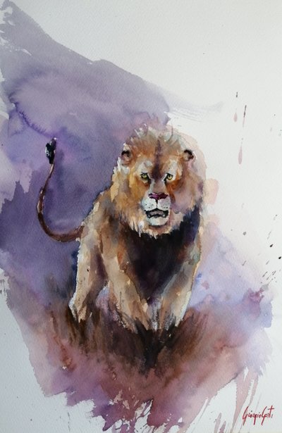 Powerful Watercolor Lion by Giorgio Gosti