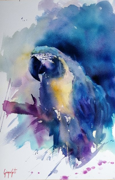 Vibrant Blue Macaw by Giorgio Gosti