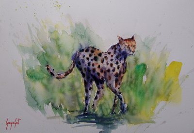 Watercolor Wild Cheetah by Giorgio Gosti