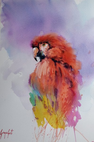 Parrot 2 by Giorgio Gosti