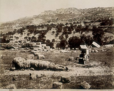 Agrigento: a view of the ruins of the Temple of Jupiter by Giorgio Sommer