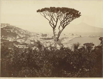 Naples, Panorama from Vomero by Giorgio Sommer