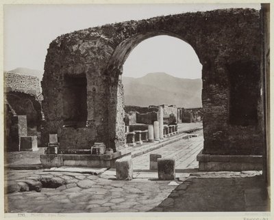 Excavations of Pompeii by Giorgio Sommer