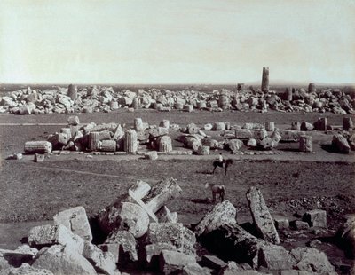 Panorama of the Remains of the Temple of Minerva and the Temple of Apollo in Selinunte by Giorgio Sommer