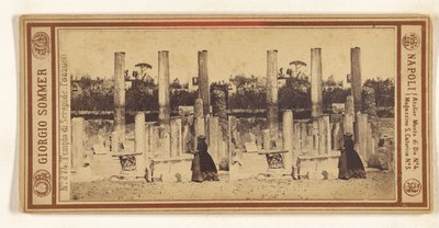 Temple of Serapis. Pozzuoli. by Giorgio Sommer