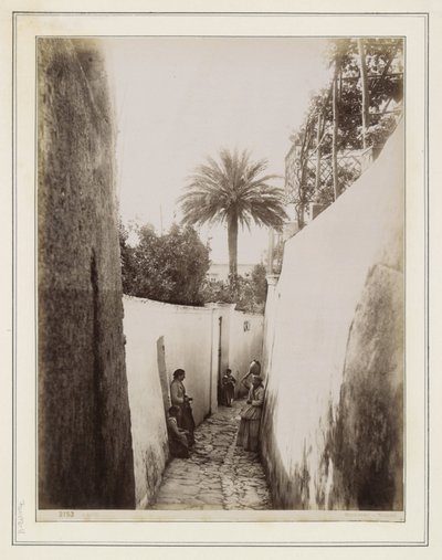 Women and Children in an Alley on Capri by Giorgio Sommer