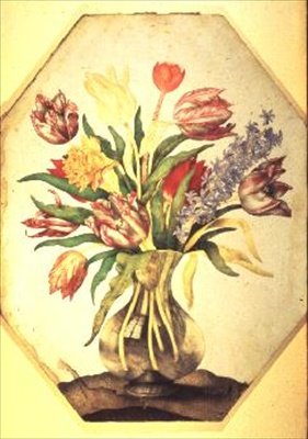 Glass Vase of Tulips with a Hyacinth by Giovanna Garzoni