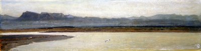 Mouth of the Arno by Giovanni Costa