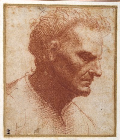 Head of a beardless man looking downward by Giovanni Agostino da Lodi