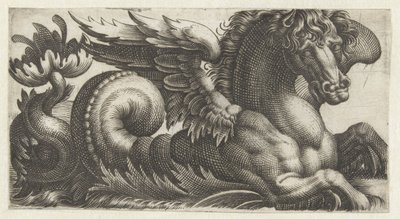 Winged Seahorse with an Open Leaf at the End of Its Tail (Friezes with Sea Monsters) by Giovanni Andrea Maglioli