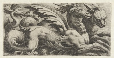 Two Sea Creatures Side by Side by Giovanni Andrea Maglioli