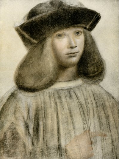 Portrait of a Man by Giovanni Antonio Boltraffio