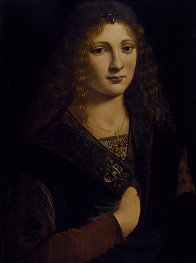Portrait of a young man, possibly Girolamo Casio, c.1500 by Giovanni Antonio Boltraffio