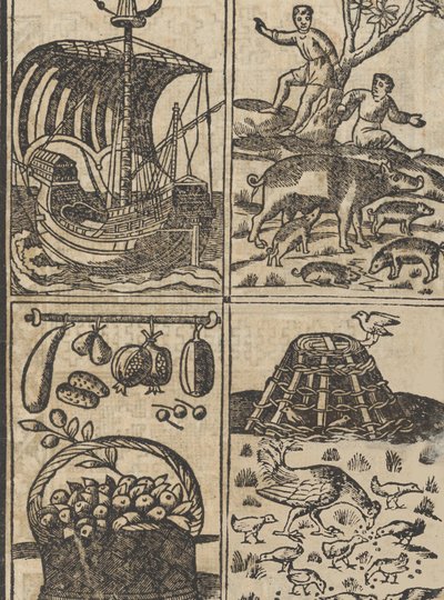 Essempio di recammi, page 9 recto by Giovanni Antonio Tagliente