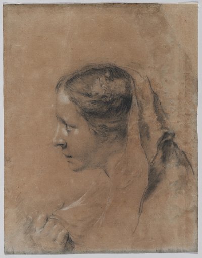 Head of a Woman in Profile with a Scarf by Giovanni Battista Piazzetta