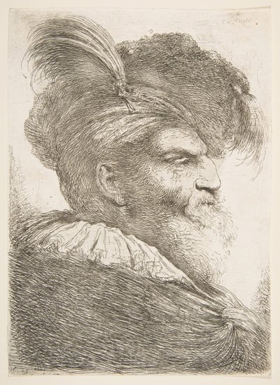 Head of an Old Man Facing Right, from the Series of Large Oriental Heads by Giovanni Benedetto Castiglione