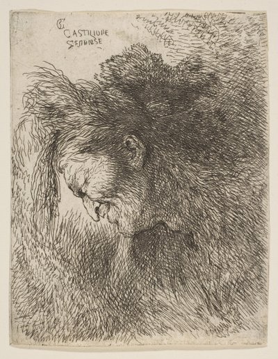 Head of an old man looking down, facing Left, from the series of Small Heads, ca. 1645-1650 by Giovanni Benedetto Castiglione