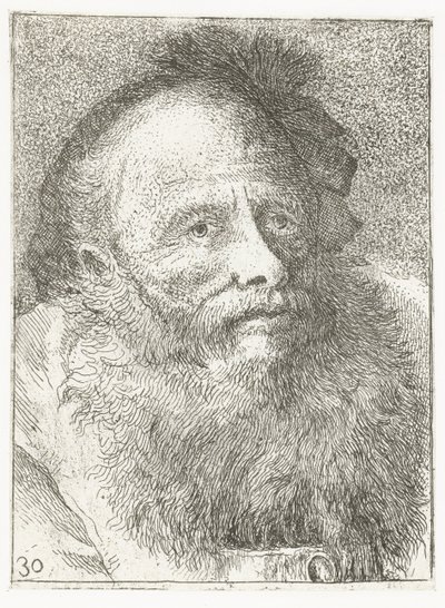Man with Beard and Feathered Headgear by Giovanni Domenico Tiepolo