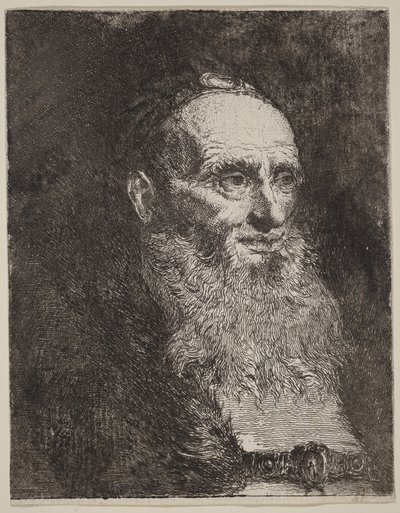 Old Man with a Beard by Giovanni Domenico Tiepolo