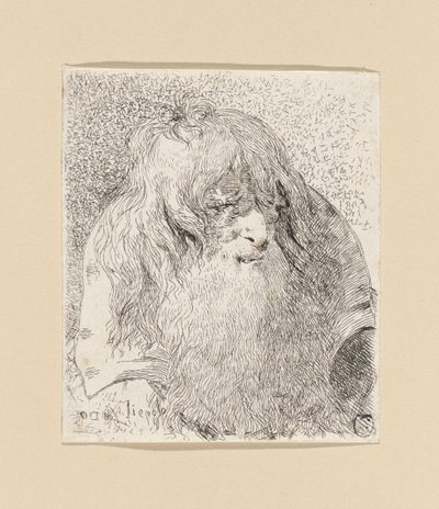 Old Man with a Beard and Long Hair, from the Collection of Heads by Giovanni Domenico Tiepolo