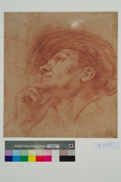 Study for the Head of the Prophet Haggai by Giovanni Francesco Barbieri