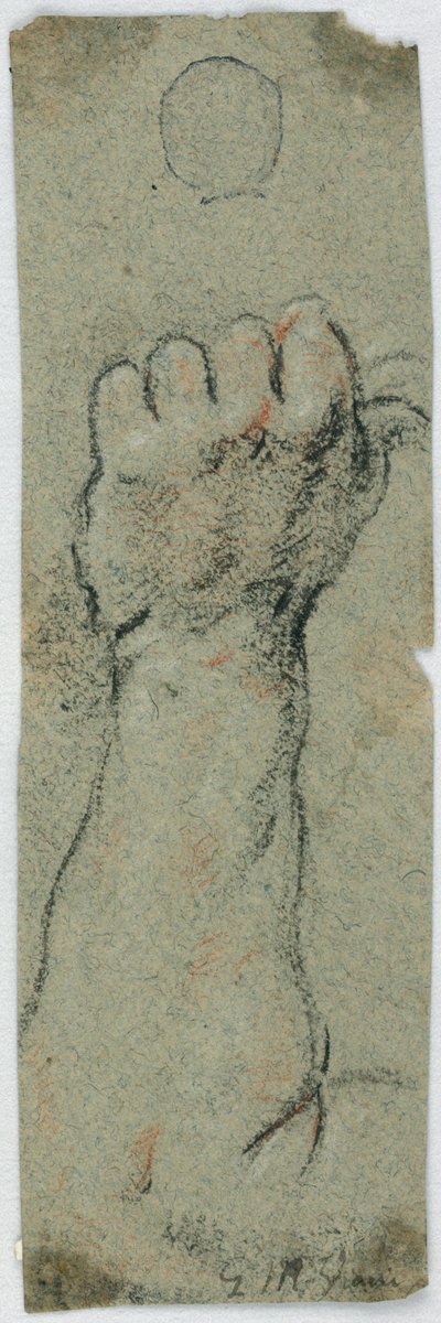 Study: An Erected Forearm and Left Hand Holding Something by Giovanni Maria Viani