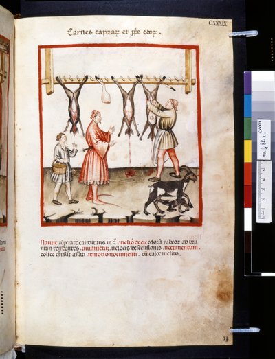Theatrum Sanitatis by Ububchasym de Baldach: 