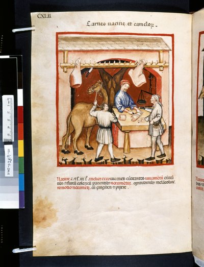 Theatrum sanitatis by Ububchasym de Baldach: 