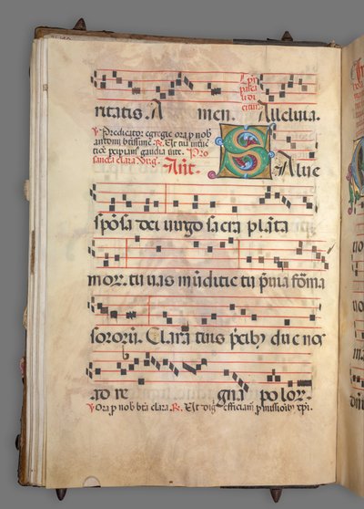 Gradual by Girolamo dai Libri