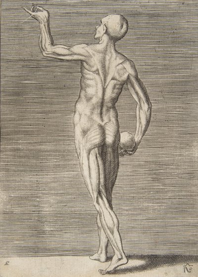 Man Seen from the Back, Holding a Skull in His Right Hand by Giulio Bonasone