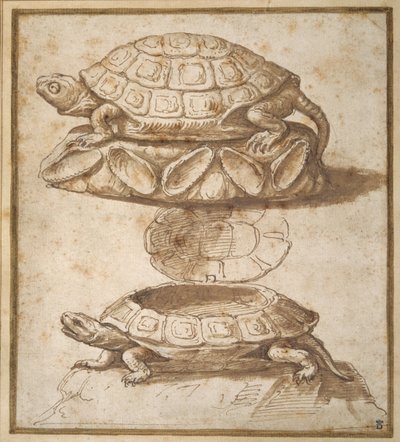 Design for a lidded box in the shape of a tortoise, shown open and shut by Giulio Romano
