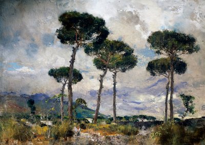 Pine Trees by Giuseppe Casciaro