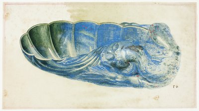 Blue and Green Shell with Dragon