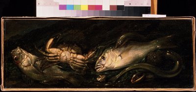 Still Life with Fish and Crab by Giuseppe Recco