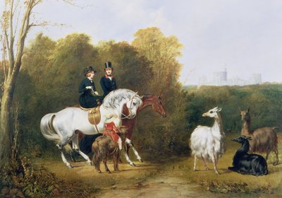 Queen Victoria and Prince Albert Viewing the Llamas in the House Park, Windsor by Gourlay Steel