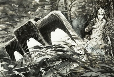 Survival: Lost in the Jungle by Graham Coton
