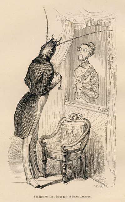 Insect looking at its human reflection in the mirror. Illustrated vignettes by JJ Granville. Engraving signed Andrew, Best and Leloir in the section titled "The Adventures of a Butterfly" written by PJ Stahl in "Scenes from the Private and Public Life of A by Grandville