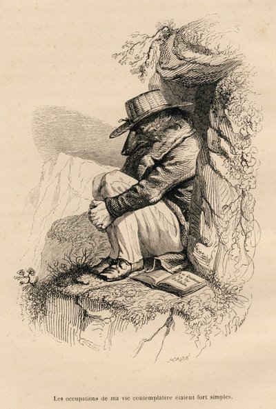 Wolf in Contemplative Solitude by Grandville