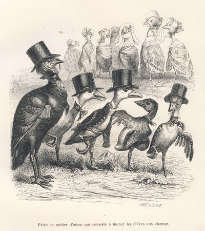 Goose Job Consisting of Bringing Students to the Fields. The Geese Move Away from Their Child. Illustrated Vignettes by JJ Granville. Engraving Signed Breviere in the Section 