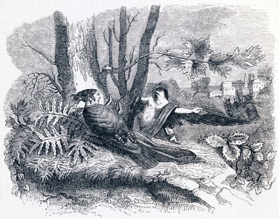 Philomele & Progne - Fables by La Fontaine by Grandville