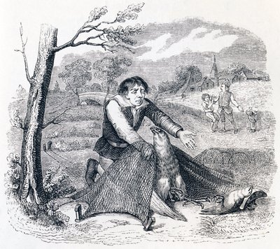 The Birdcatcher, the Goshawk and the Lark - Fables by La Fontaine by Grandville