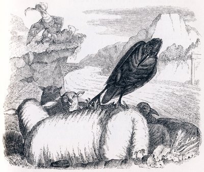 The Raven Wanting to Imitate the Eagle - Fables by La Fontaine by Grandville