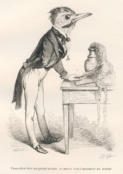 You Are Going to Be a Great Scholar, and I Will Announce It to the World. Illustrated vignettes by JJ Granville. Engraving signed Tamisier in the section titled 
