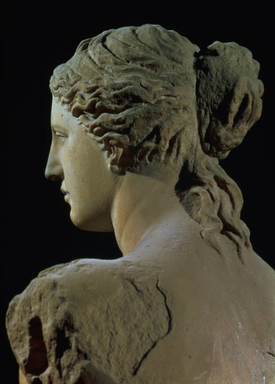 Venus de Milo (detail) by Greek