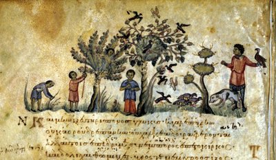 Hunting with the Falcon and Capturing Bird Nests. Greek Manuscript of Oppianus De Venatione 13th Century by Greek School