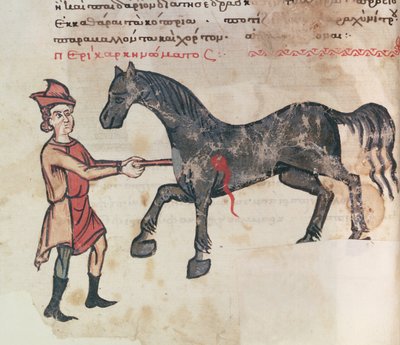 Operating on a Horse by Greek School
