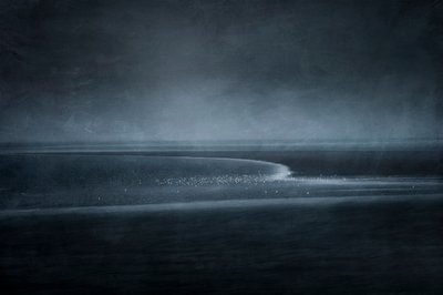 Twilight Shore Birds by Greetje van Son